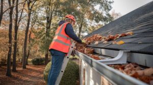 top rated gutter cleaning services in Gainesville, Texas