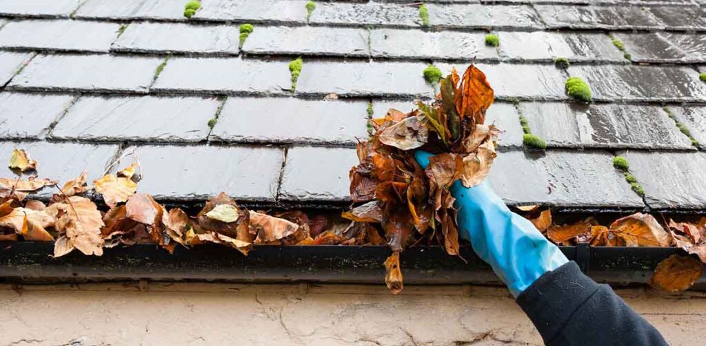 Efficient Gutter Cleaning Specialists in Texas